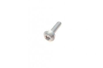 Болт (M8x30mm) VW (Vag) N10745301 N10745301 фото