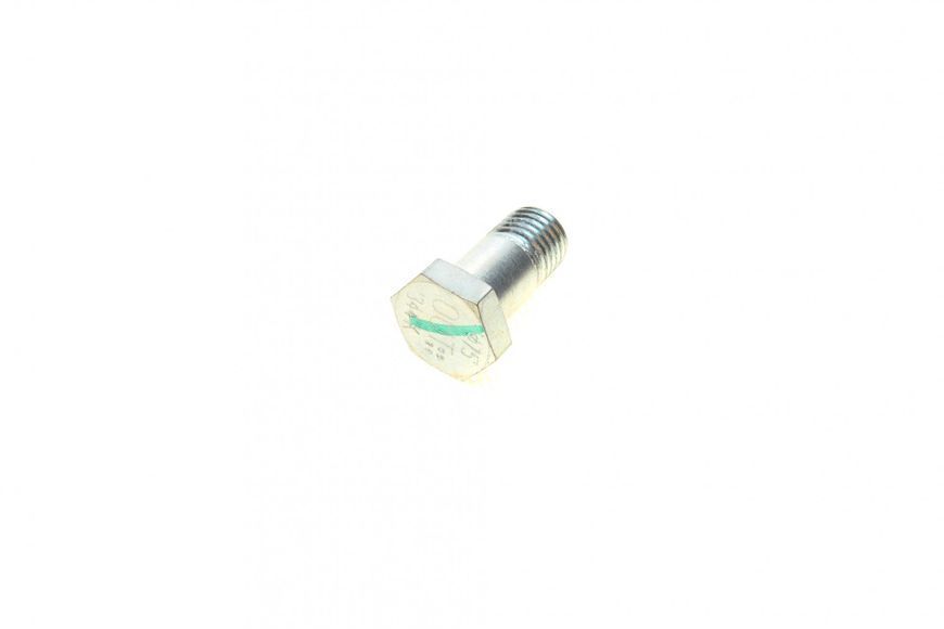 Болт ТНВД Fiat/Iveco/MAN/Renault/Volvo (Bosch) 1 463 456 344 1 463 456 344 фото