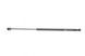 Амортизатор кришки багажника Renault Scenic II 03- (GS0476) (Magneti Marelli) 430719047600 430719047600 фото 1