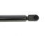 Амортизатор кришки багажника VW Passat 10-14 (GS1344) (Magneti Marelli) 430719134400 430719134400 фото 3