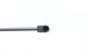 Амортизатор крышки багажника Skoda Rapid 12- (GS1221) (Magneti Marelli) 430719122100 430719122100 фото 2