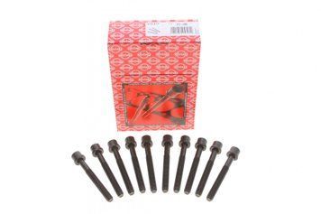 Болти головки (к-кт 10шт.) Audi 100/A4/VW Polo/Golf 1.3-2.0 90- (96mm) (Reinz) 14-32046-01 819.817 фото