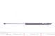 Амортизатор крышки багажника Opel Onsignia A 08-17 (GS0988) (Magneti Marelli) 430719098800 430719098800 фото 4