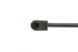 Амортизатор крышки багажника Skoda Octavia 04-13 (GS0730) (Magneti Marelli) 430719073000 430719073000 фото 2